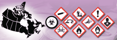 WHMIS Symbols 2022 with meanings (Pictograms) [New Updated]
