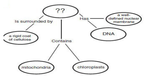 EOC Biology Practice Test Part 1 (40 Questions Answers)